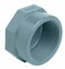 ABS Cap BSP female threaded